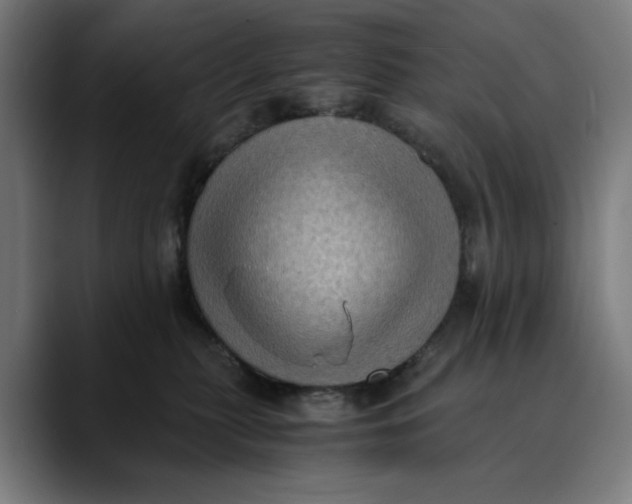 X0000089690279200707121341