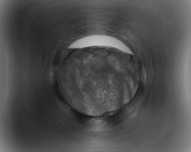 X0000089690280200707121341