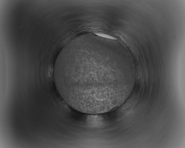 X0000089690281200707121341