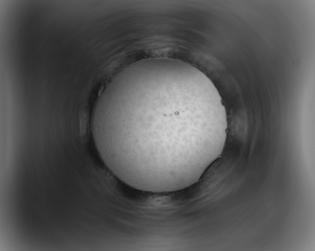 X0000089690283200707121341