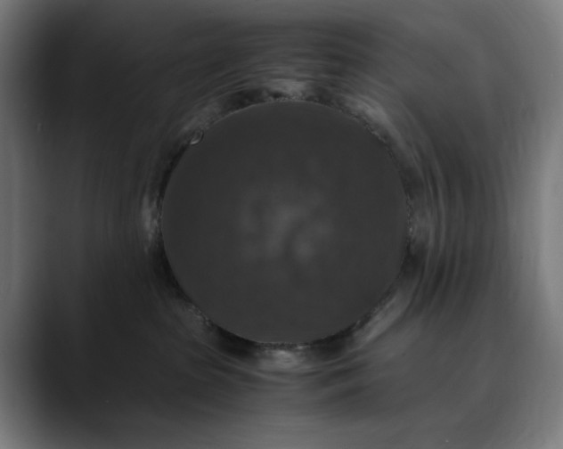 X0000089690285200707121341