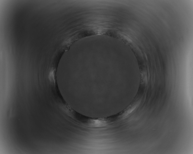 X0000089690286200707121341