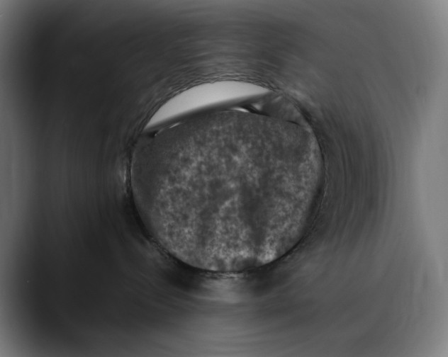 X0000089690288200707121341