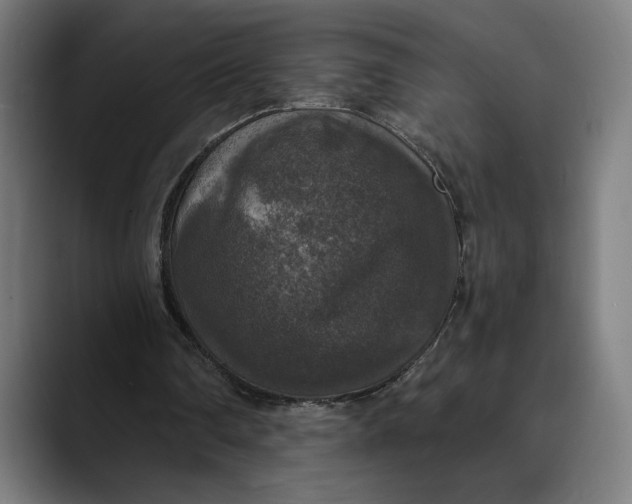 X0000089690290200707121341