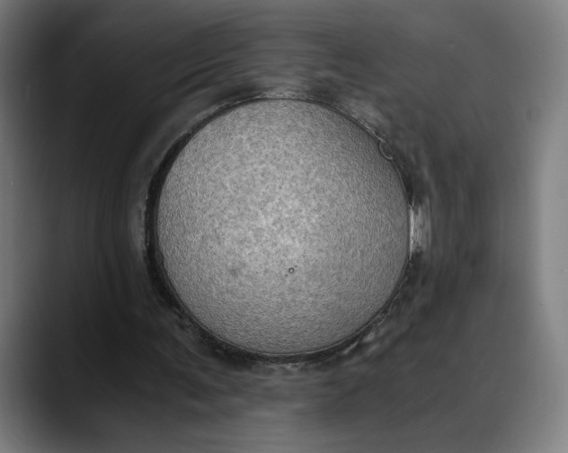 X0000089690291200707121341