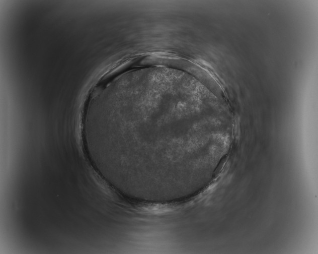 X0000089690293200707121341