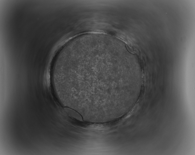 X0000089690294200707121341