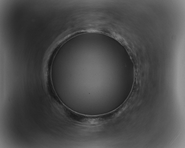 X0000089690295200707121341