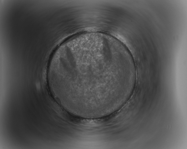 X0000089690297200707121341