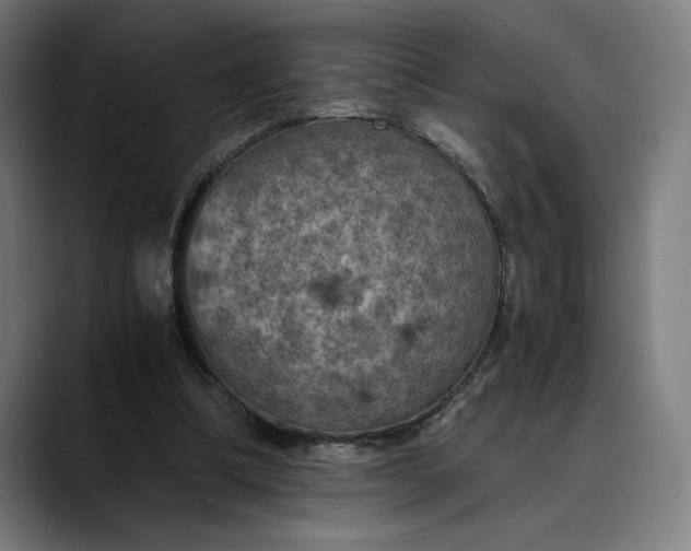 X0000089690298200707121341