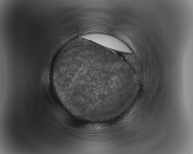 X0000089690299200707121341