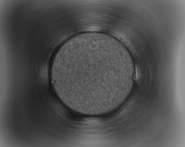 X0000089690300200707121341