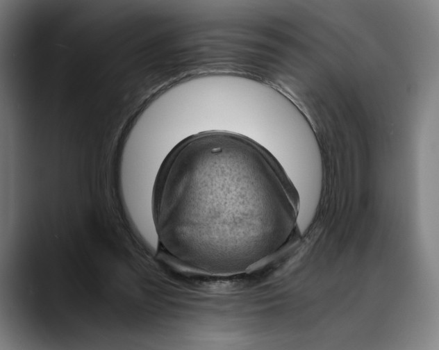 X0000089690301200707121341