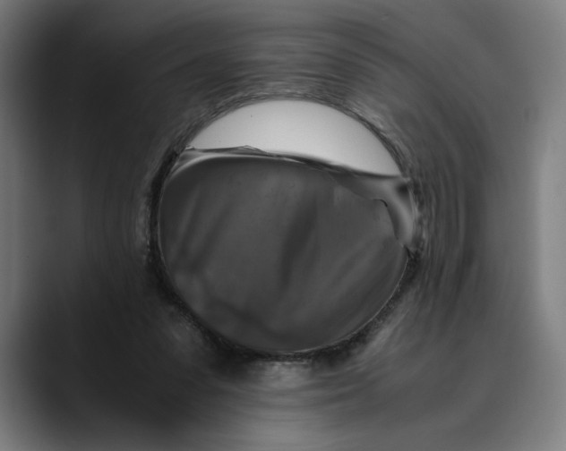 X0000089690303200707121341