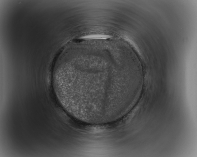 X0000089690305200707121341