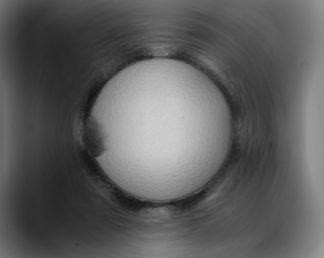 X0000089690307200707121341