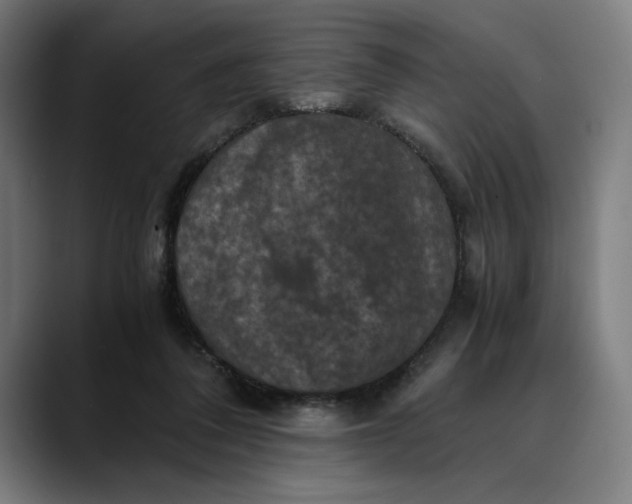 X0000089690308200707121341