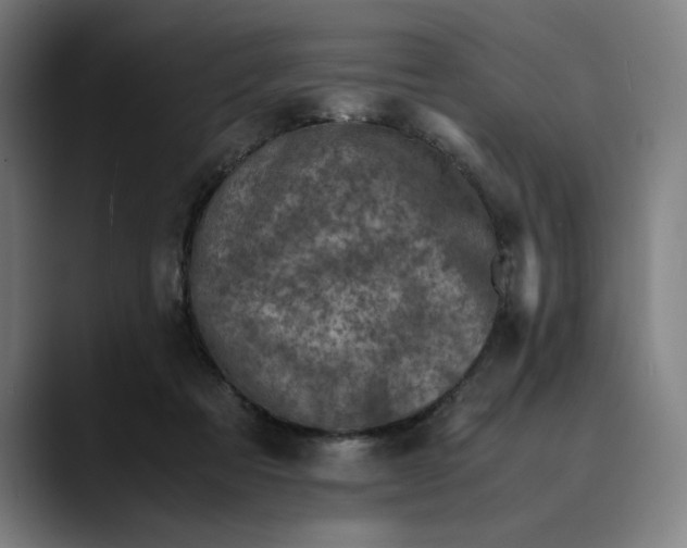 X0000089690313200707121341