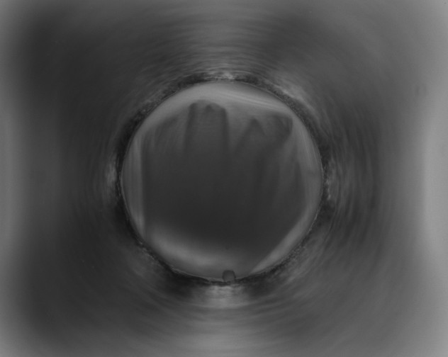 X0000089690314200707121341