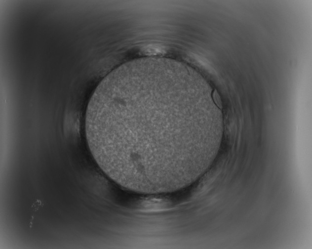 X0000089690315200707121341