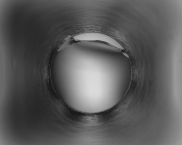 X0000089690317200707121341