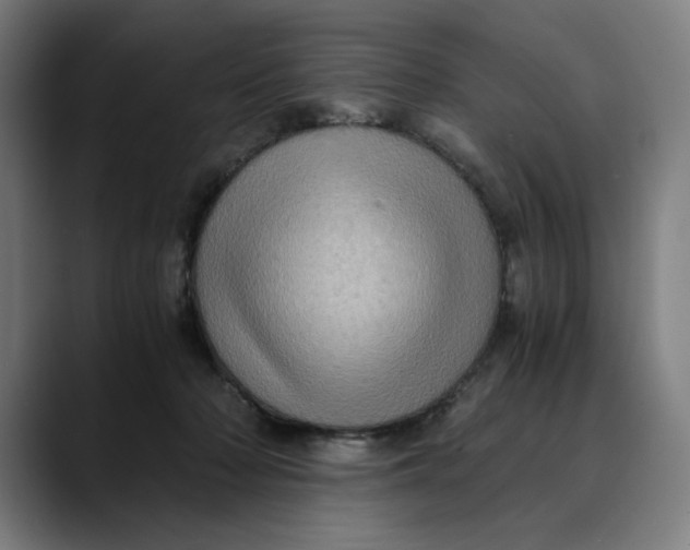 X0000089690318200707121341