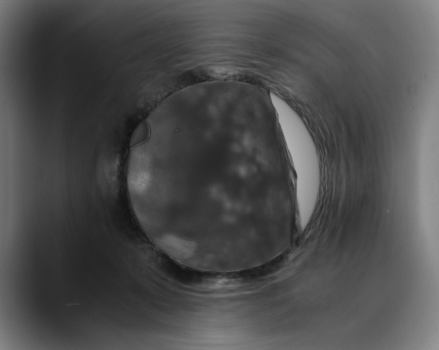 X0000089690319200707121341