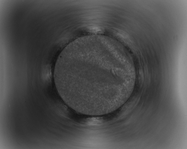 X0000089690320200707121341