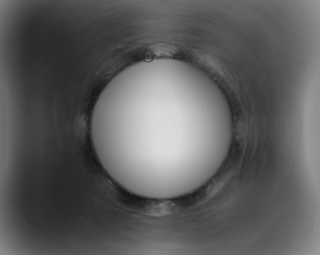 X0000089690321200707121341