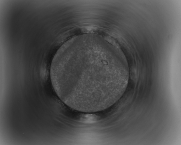 X0000089690324200707121341