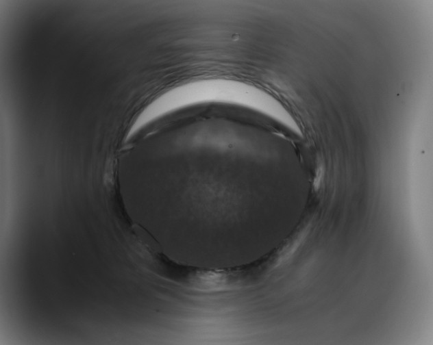 X0000089690325200707121341