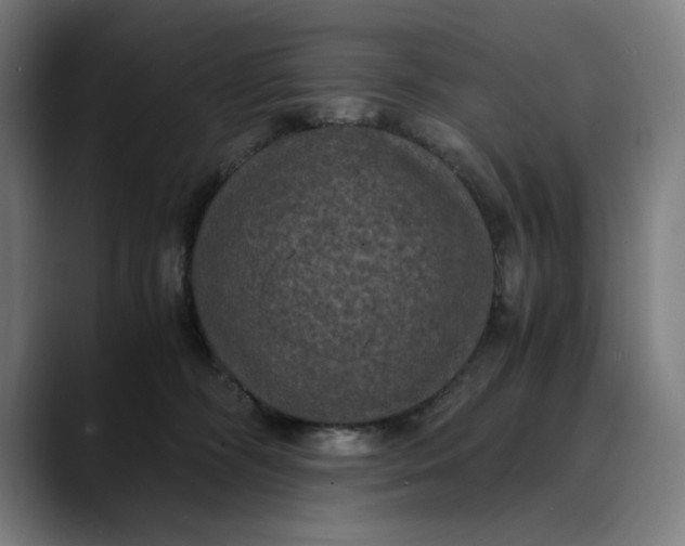 X0000089690326200707121340