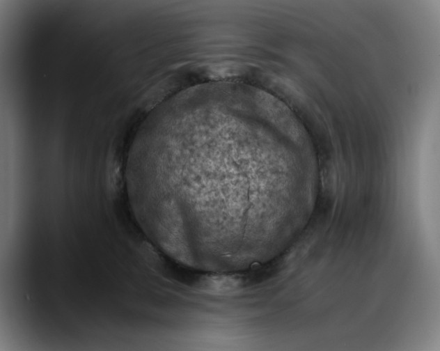 X0000089690327200707121340