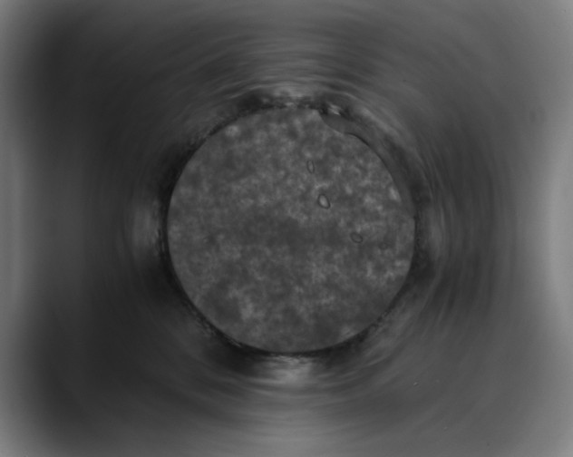 X0000089690328200707121340