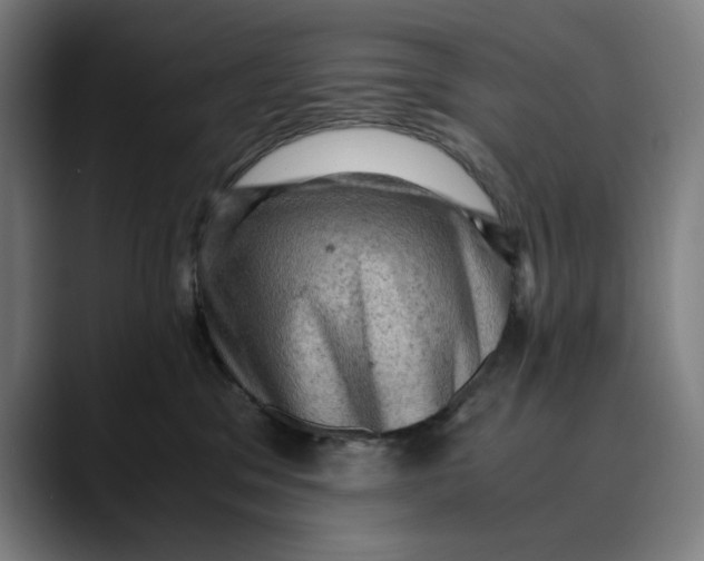 X0000089690329200707121340