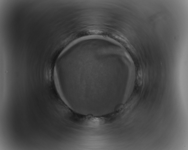 X0000089690330200707121340