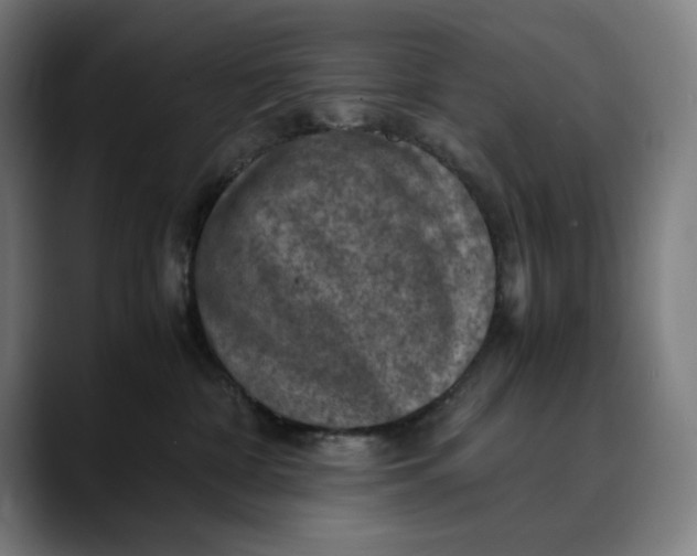 X0000089690332200707121340