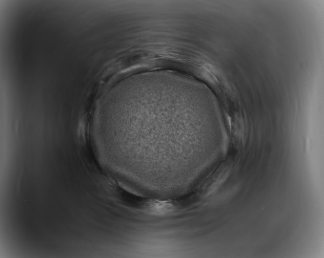 X0000089690333200707121340