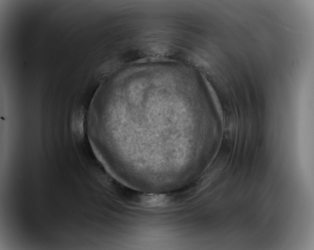 X0000089690334200707121340