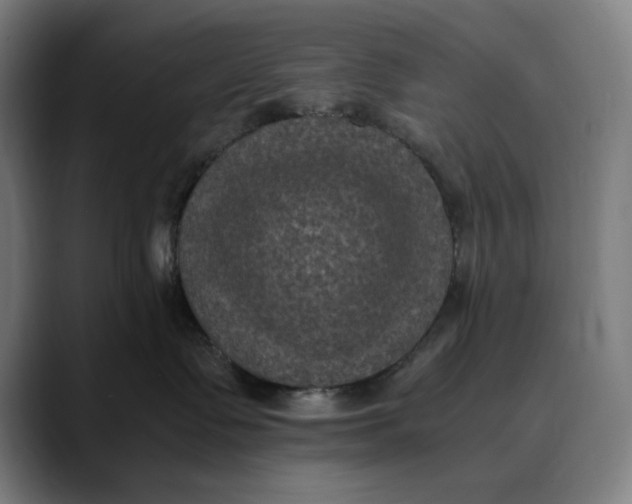 X0000089690335200707121340