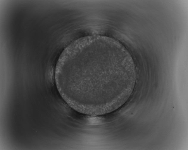 X0000089690336200707121340