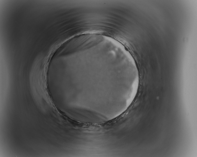 X0000089690337200707121340