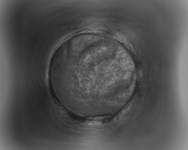 X0000089690340200707121340