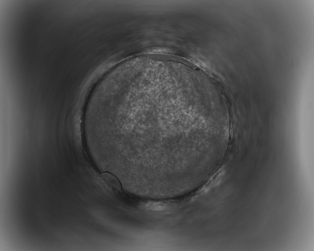 X0000089690341200707121340