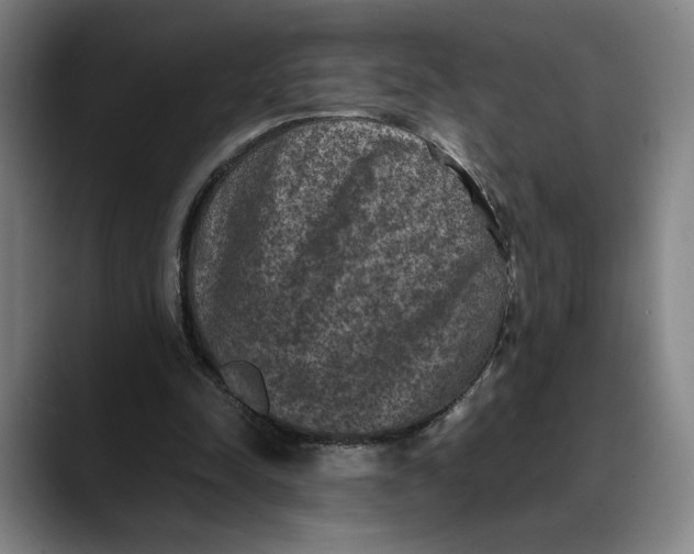 X0000089690342200707121340