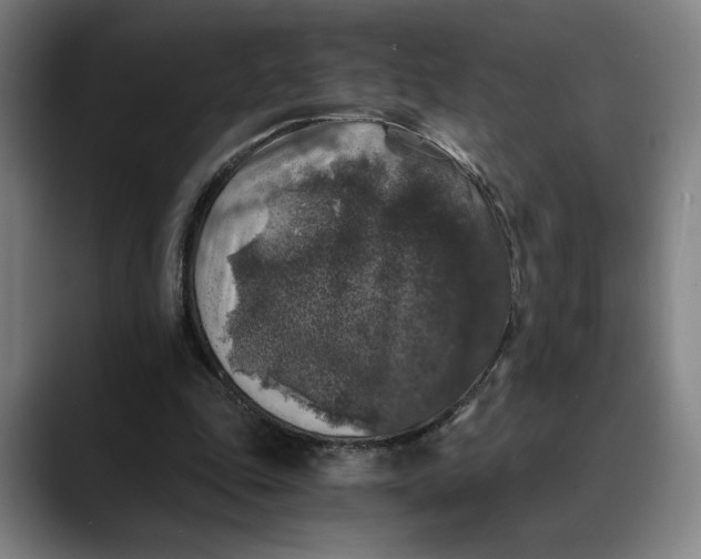 X0000089690343200707121340