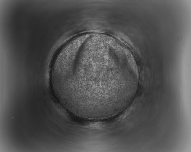 X0000089690344200707121340