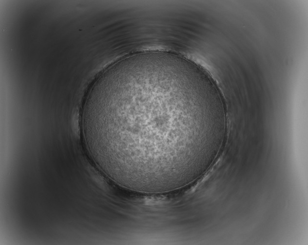 X0000089690345200707121340