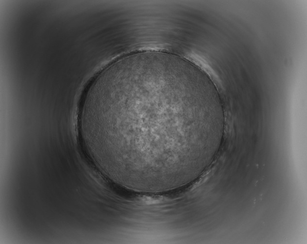 X0000089690346200707121340