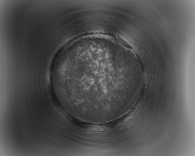 X0000089690347200707121340